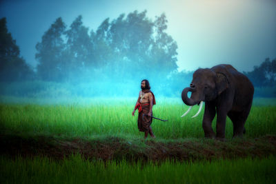 Man walking with elephant on field