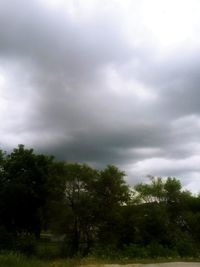 Trees and plants growing on land against cloudy sky