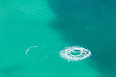 High angle view of sea underwater