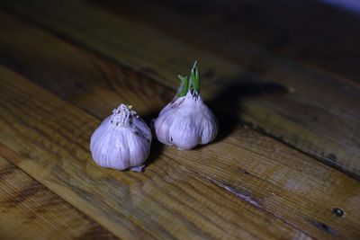 Close-up of garlic on table