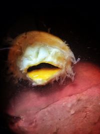 Close-up of glass over white background