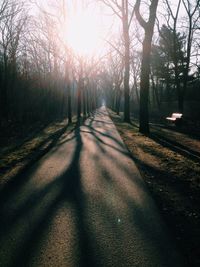 Road passing through forest