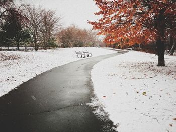 Road passing through trees