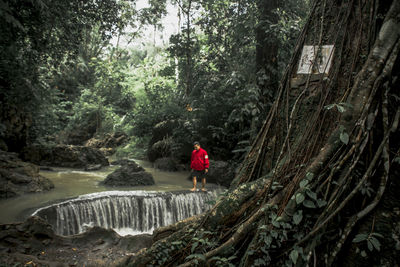 Rear view of man standing by waterfall in forest