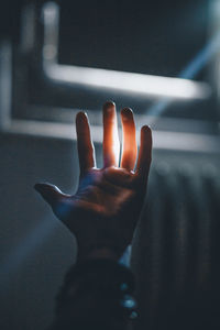 Sunlight streaming on hand of person