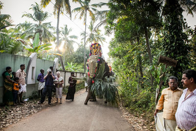 Group of people walking on palm trees