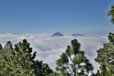 Low angle view of mountain against sky