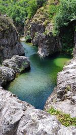 Scenic view of waterfall in forest