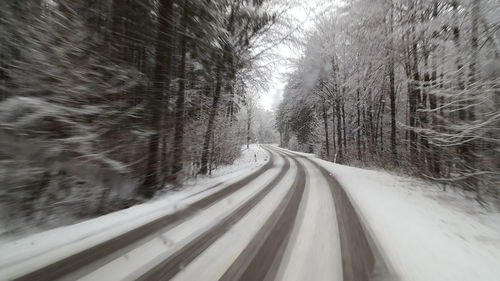Road passing through forest