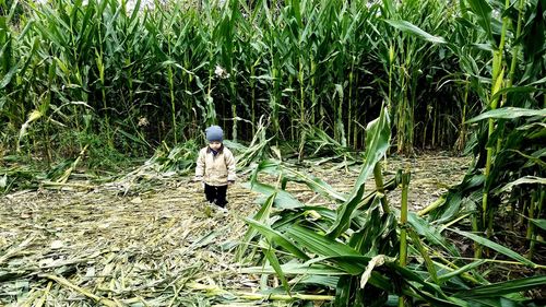 Rear view of man walking on field