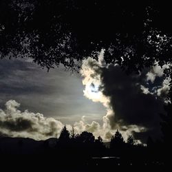 Low angle view of silhouette trees against dramatic sky