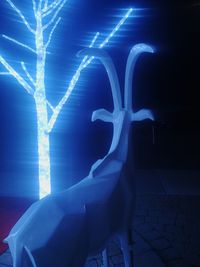 Close-up of illuminated light painting