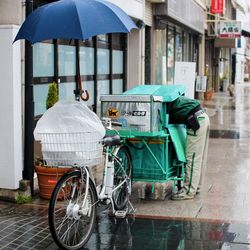 transportation