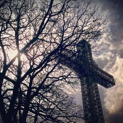 Low angle view of silhouette tree against sky