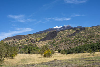 The summit of the etna volcano with the summit craters