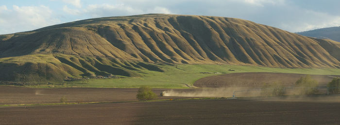 Feild in the bc interior