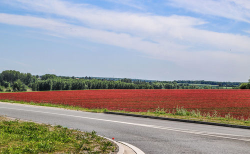 Road by field against sky