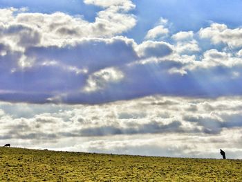 Scenic view of field against cloudy sky