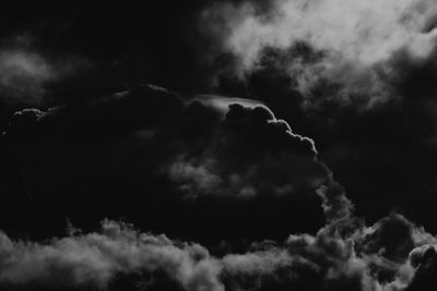 Low angle view of horse against sky