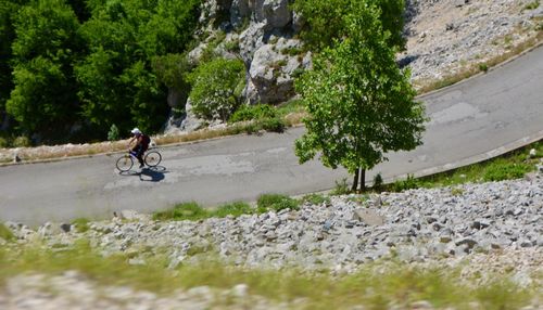 Man riding bicycle on road