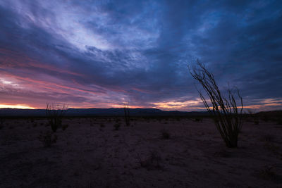 Scenic view of field against sky during sunset