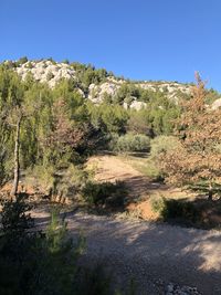 Scenic view of landscape against clear blue sky