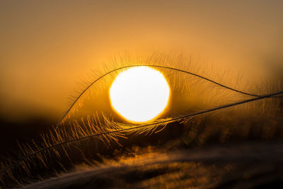 Close-up of sun during sunset