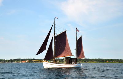 Sailboats in sea