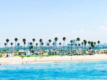 High angle view of palm trees growing at beach against sky during sunny day