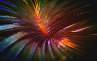 Full frame shot of purple background