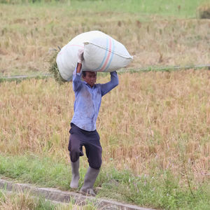 Man working on field