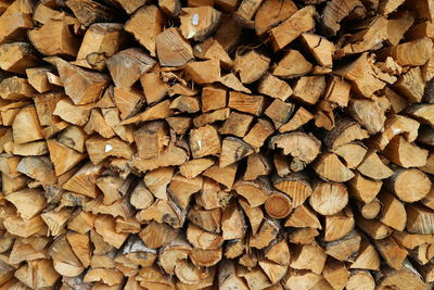 Full frame shot of logs in forest