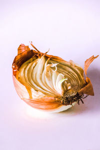 Close-up of red chili pepper against white background