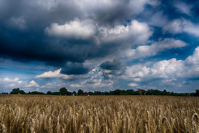 Scenic view of agricultural field against storm clouds