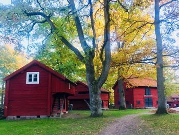 House amidst trees and buildings during autumn