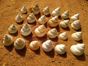 High angle view of food on table
