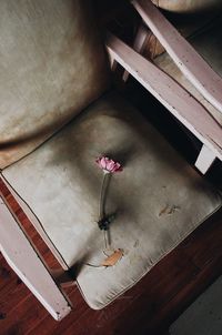 High angle view of pink flower on table