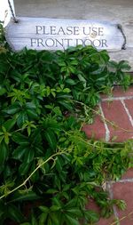 High angle view of potted plants