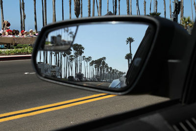 Driving along the coast in santa barbara, california - palm trees reflected in car mirror