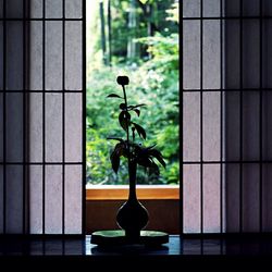 Silhouette flower vase on window sill