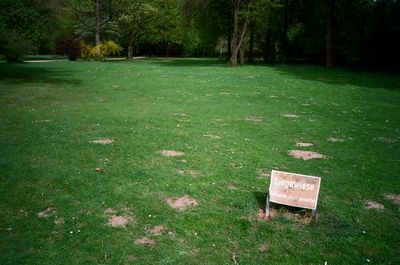 Trees on grassy field