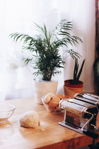 Close-up of potted plant on table