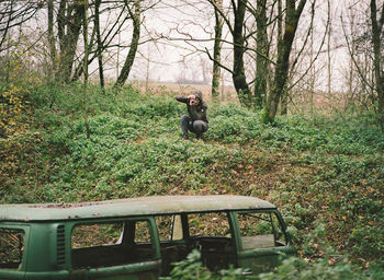 Dog in the forest