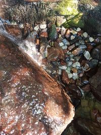 Close-up of rocks in water