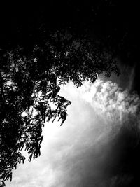 Low angle view of silhouette tree against sky