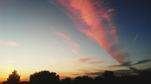 Silhouette trees against dramatic sky during sunset