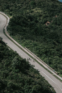 High angle view of highway by trees