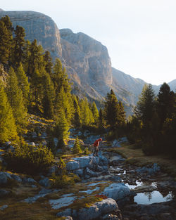 Man standing on rock by stream