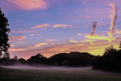 Silhouette trees on field against sky during sunset