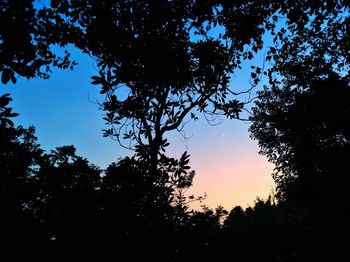 Low angle view of silhouette trees against sky during sunset